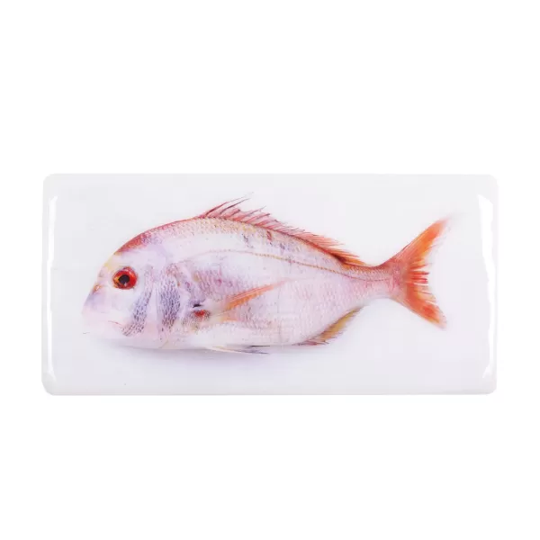 Flash Sale Stigerwoods Décoration Murale Daurade Rose - 40 X 20 Cm