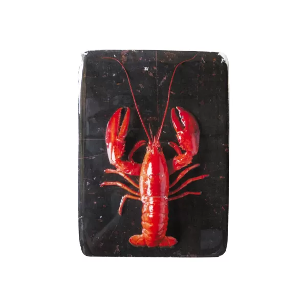 Hot Stigerwoods Décoration Murale Homard Rouge / Fond Noir - 20 X 29 Cm