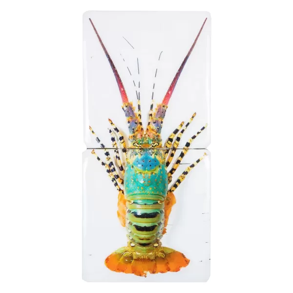 Flash Sale Stigerwoods Décoration Murale Jual Homard Laut 2 - 20 X 40 Cm
