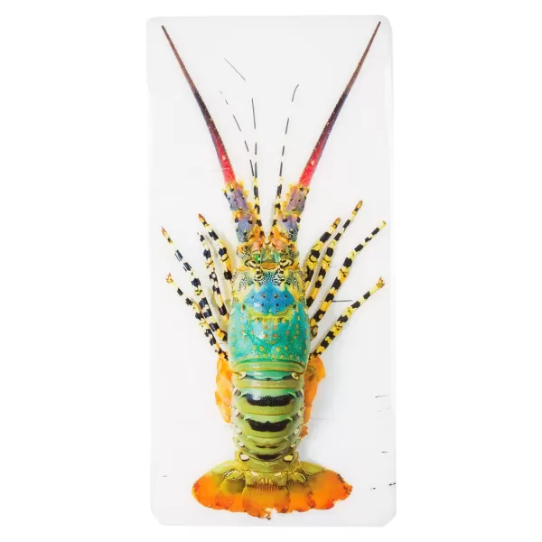Discount Stigerwoods Décoration Murale Jual Homard Laut - 20 X 40 Cm