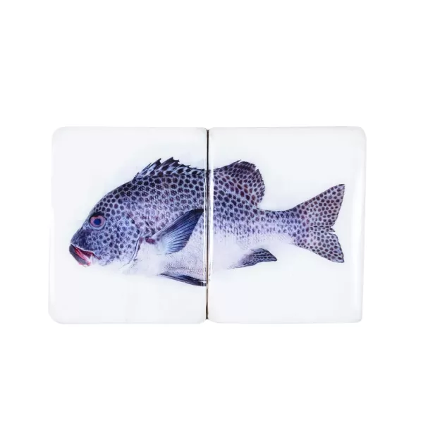 Hot Stigerwoods Décoration Murale Poisson Arlequin Sur Fond Blanc - 40 Cm X 20 Cm
