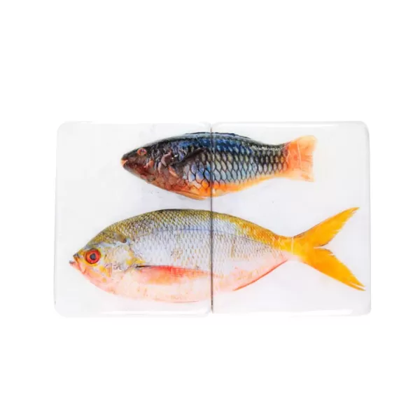 Flash Sale Stigerwoods Décoration Murale Poisson Perroquet Et Fusilier Sur Fond Blanc - 40 Cm X 24 Cm