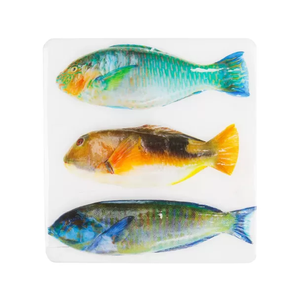 Fashion Stigerwoods Décoration Murale Trois Poissons Perroquet Sur Fond Blanc - 20 Cm X 20 Cm